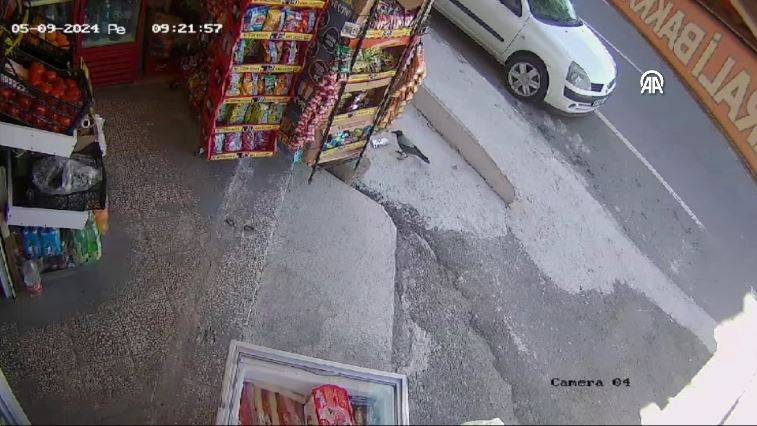 Bakkaldan cips çalan karga suçüstü yakalandı! Etrafı kolaçan etti paketi alıp kaçtı - Resim: 21